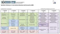 B.Sc. IBE Program Structure
